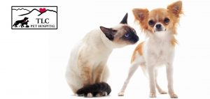 TLC Pet Hospital Customer Appreciation Week