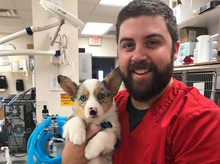 Chris C. Registered Veterinary Technician