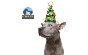 New Years Activity tips for dogs for a Fear Free celebration