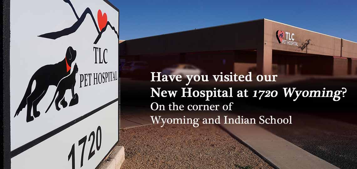 Have you visited our New Location at 1720 Wyoming? On the corner of Wyoming and Indian School