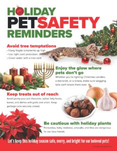 Pet Safety Reminders